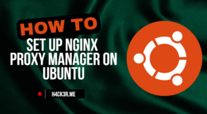 Set Up Nginx Proxy Manager on Ubuntu